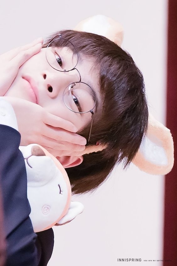 เชิ้ต