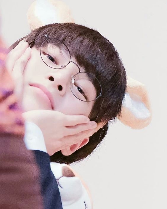 เชิ้ต